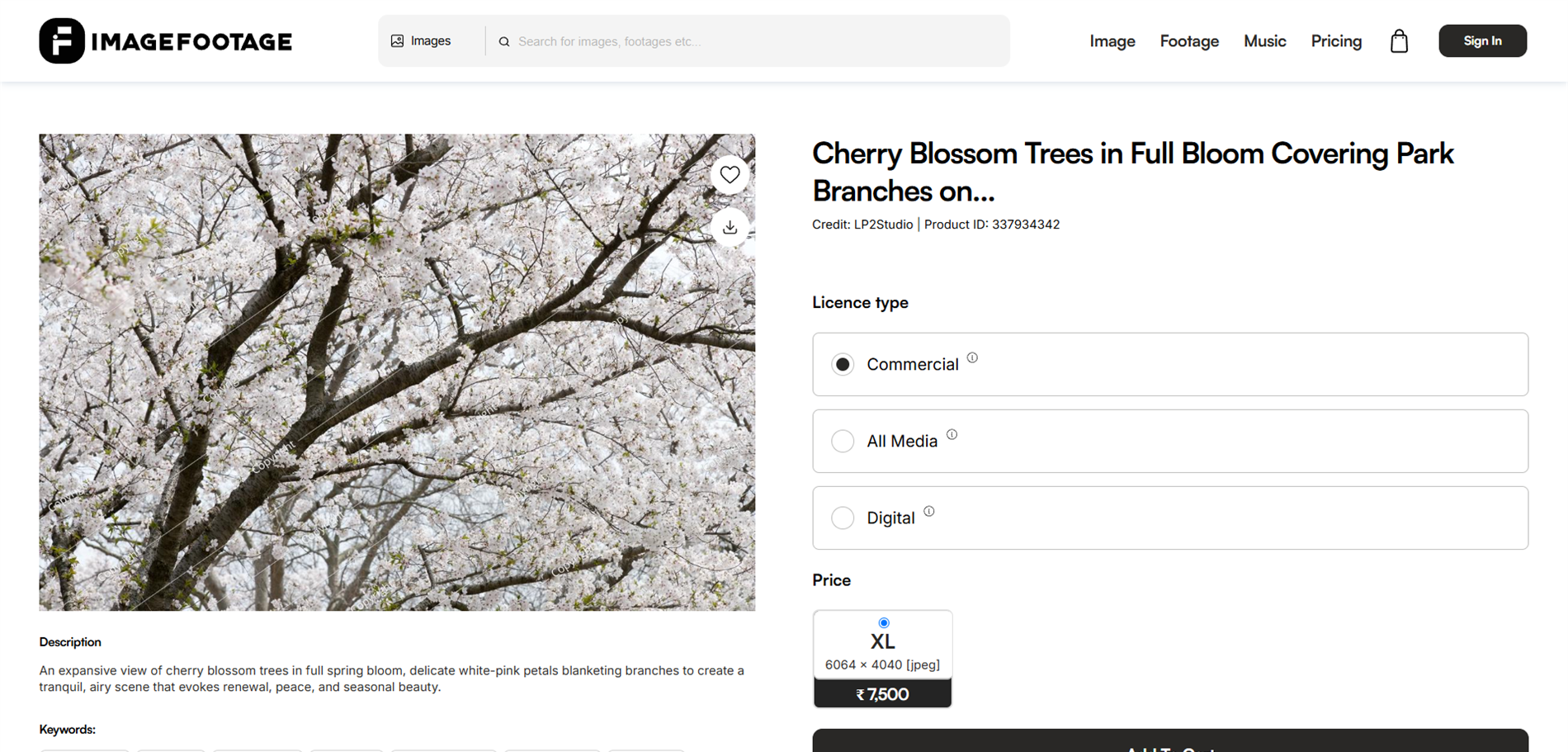 ImageFootage asset detail and purchase page