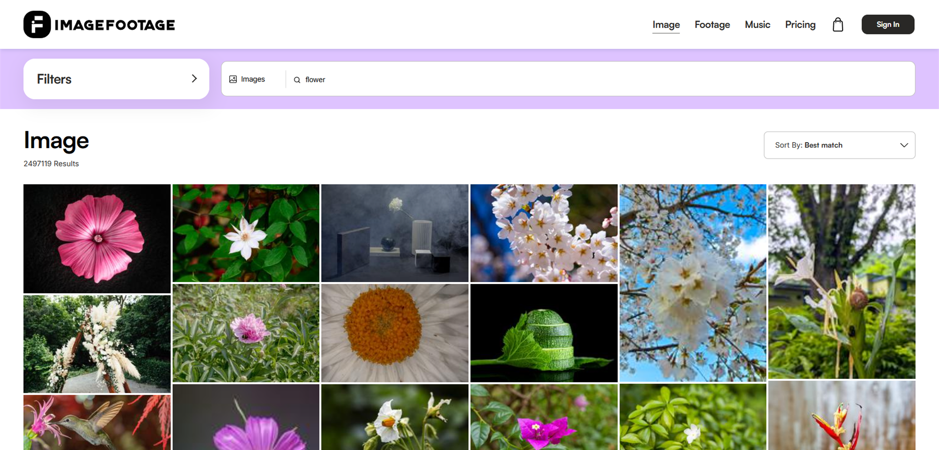 ImageFootage asset listing