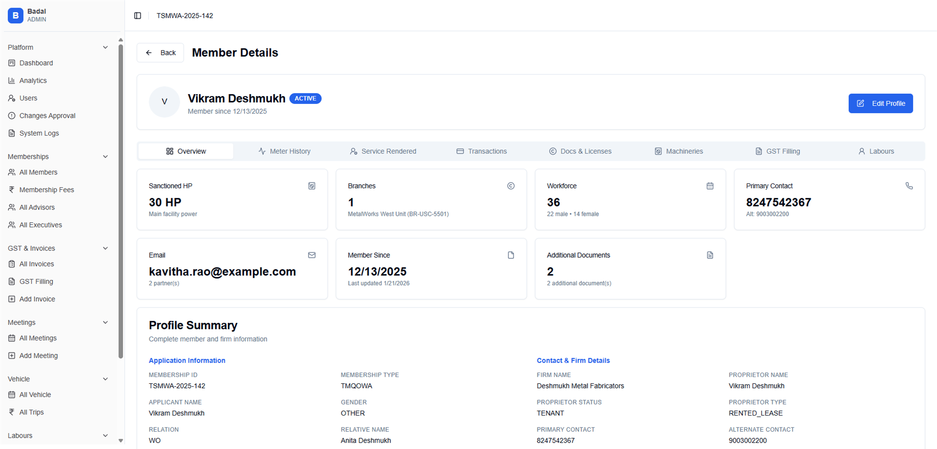 TSMWA project preview